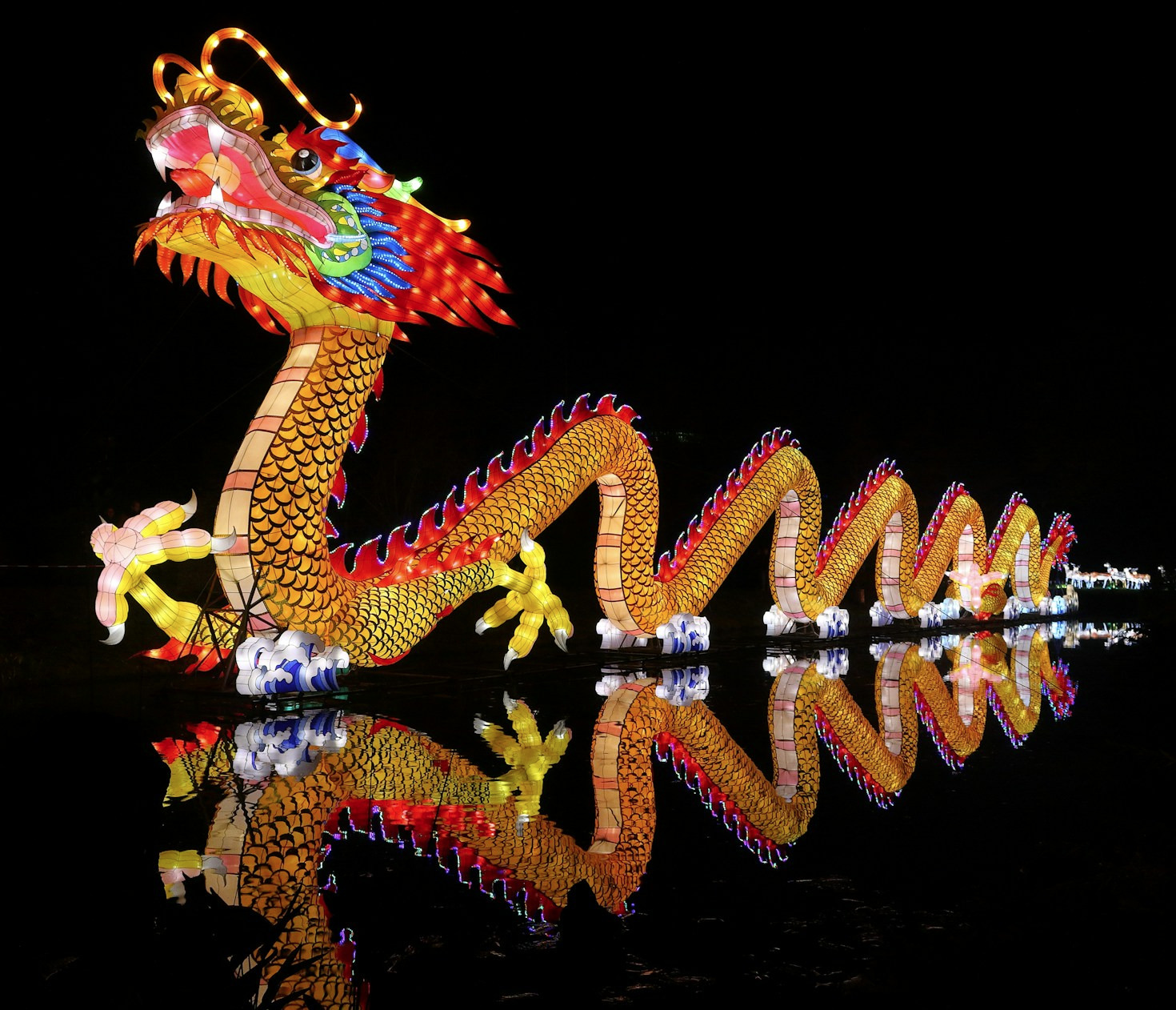 A Dive into the Creative World of Toutenko